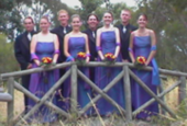 Bridal party on the bridge